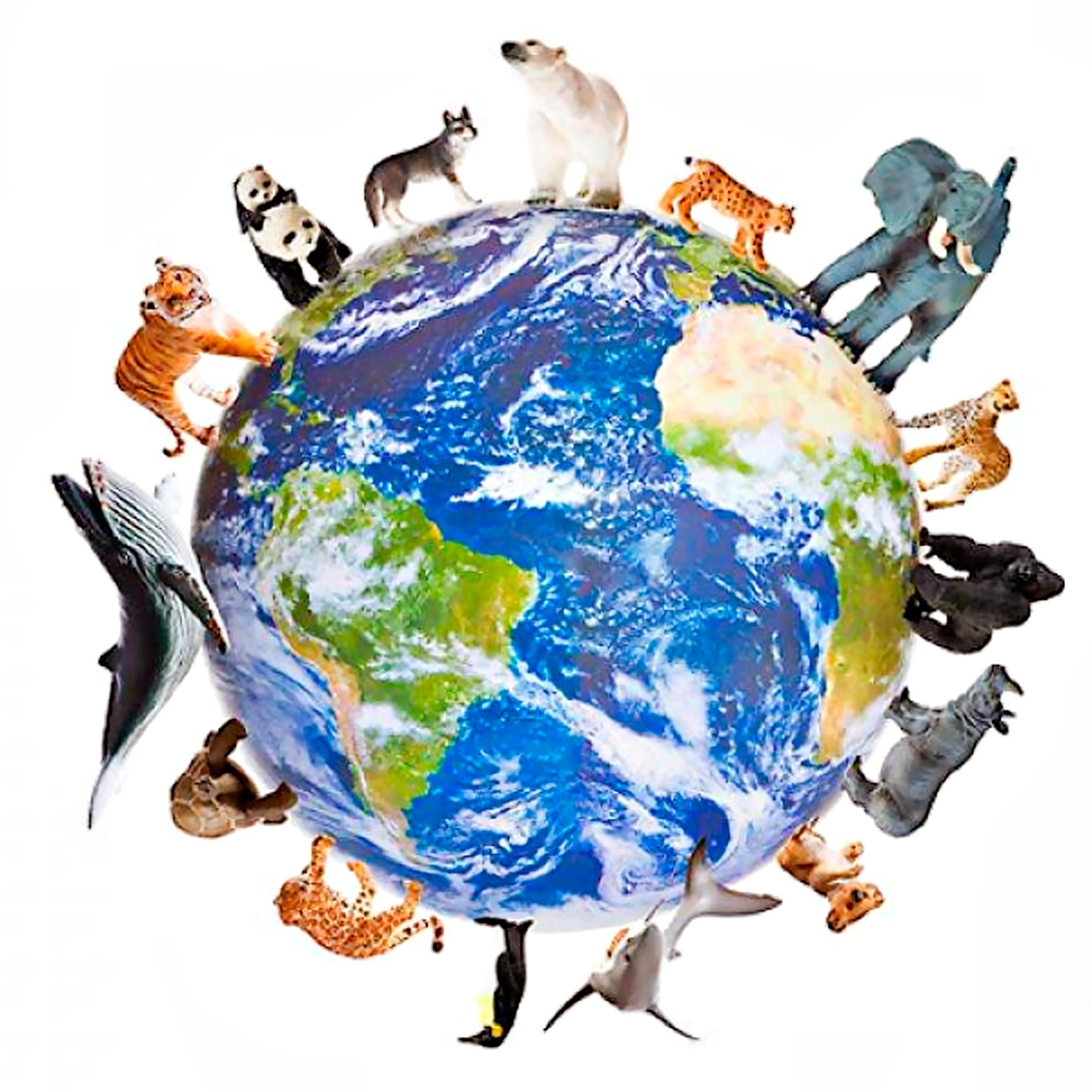 Открываем мир планеты. Животные вокруг планеты. Животные на земном шаре. Планета земля с животными. Глобус с животными.
