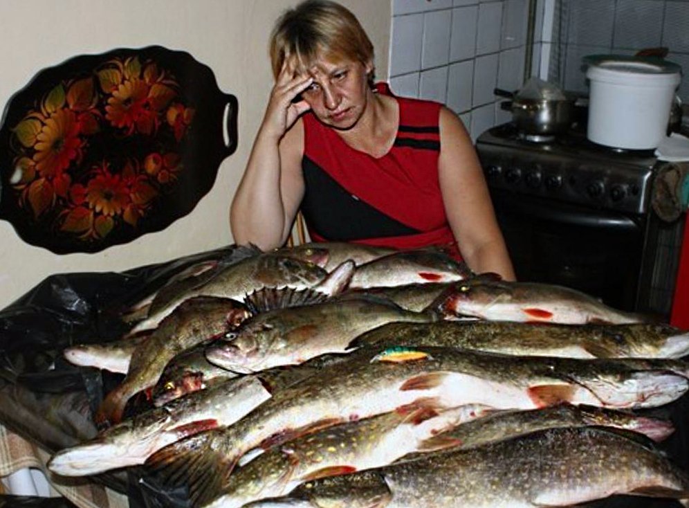 вся рыба будет ваша. котик с рыбкой. вся рыба будет ваша. кот ловит рыбу. вся рыба будет ваша.