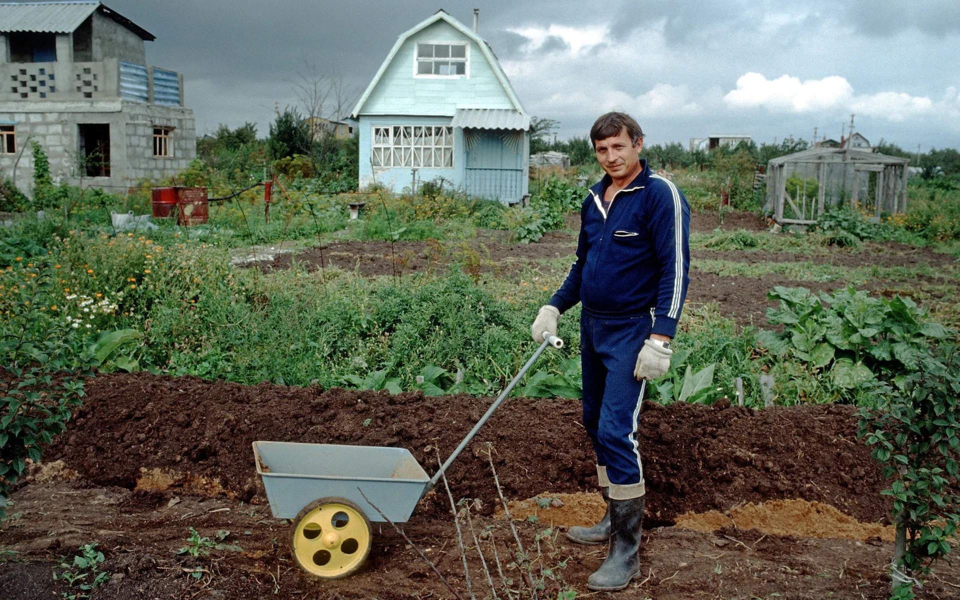 Помощник на дачу. Советские огороды. Садовод в огороде. Дачник на огороде. Люди на огороде.