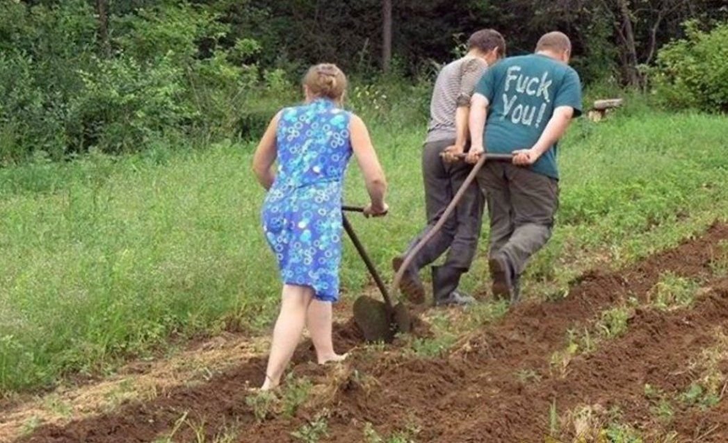 Картинка раком на огороде