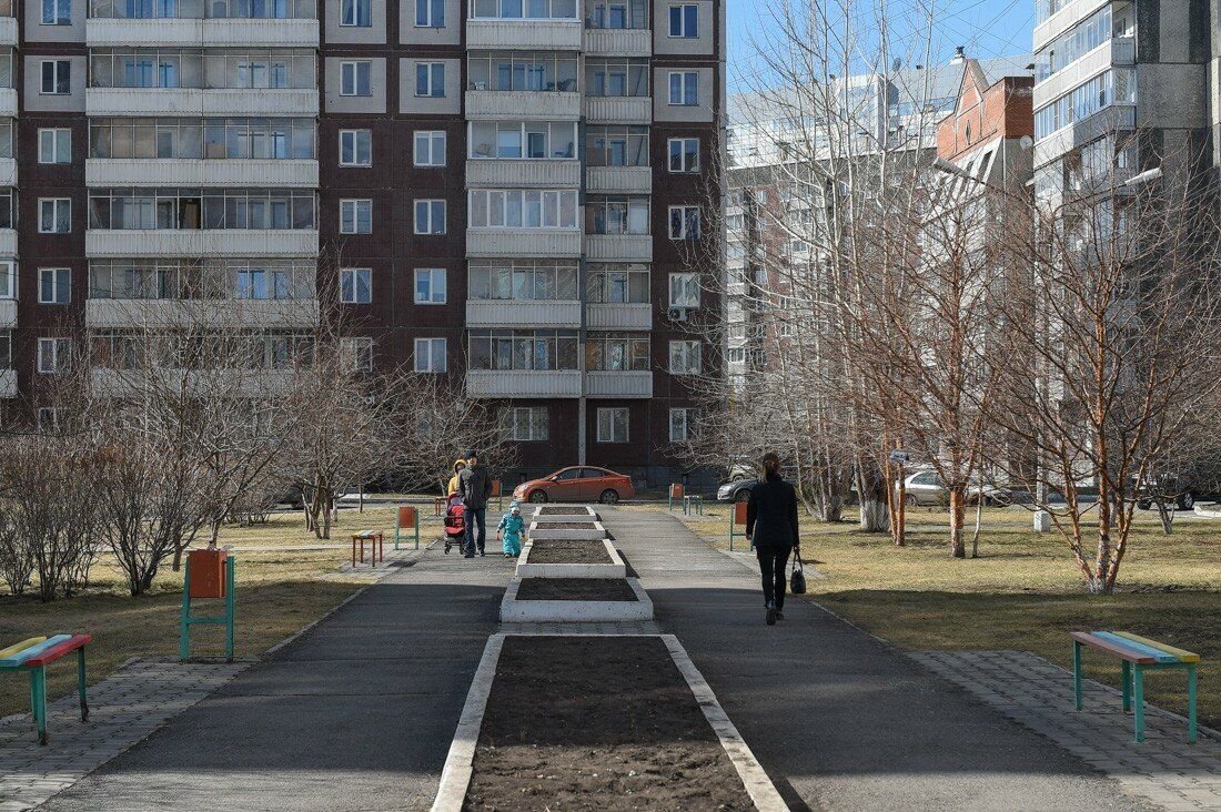 красноярские черемушки. черёмушки красноярск. черёмушки красноярск. черёмушки красноярск. красноярские черемушки.