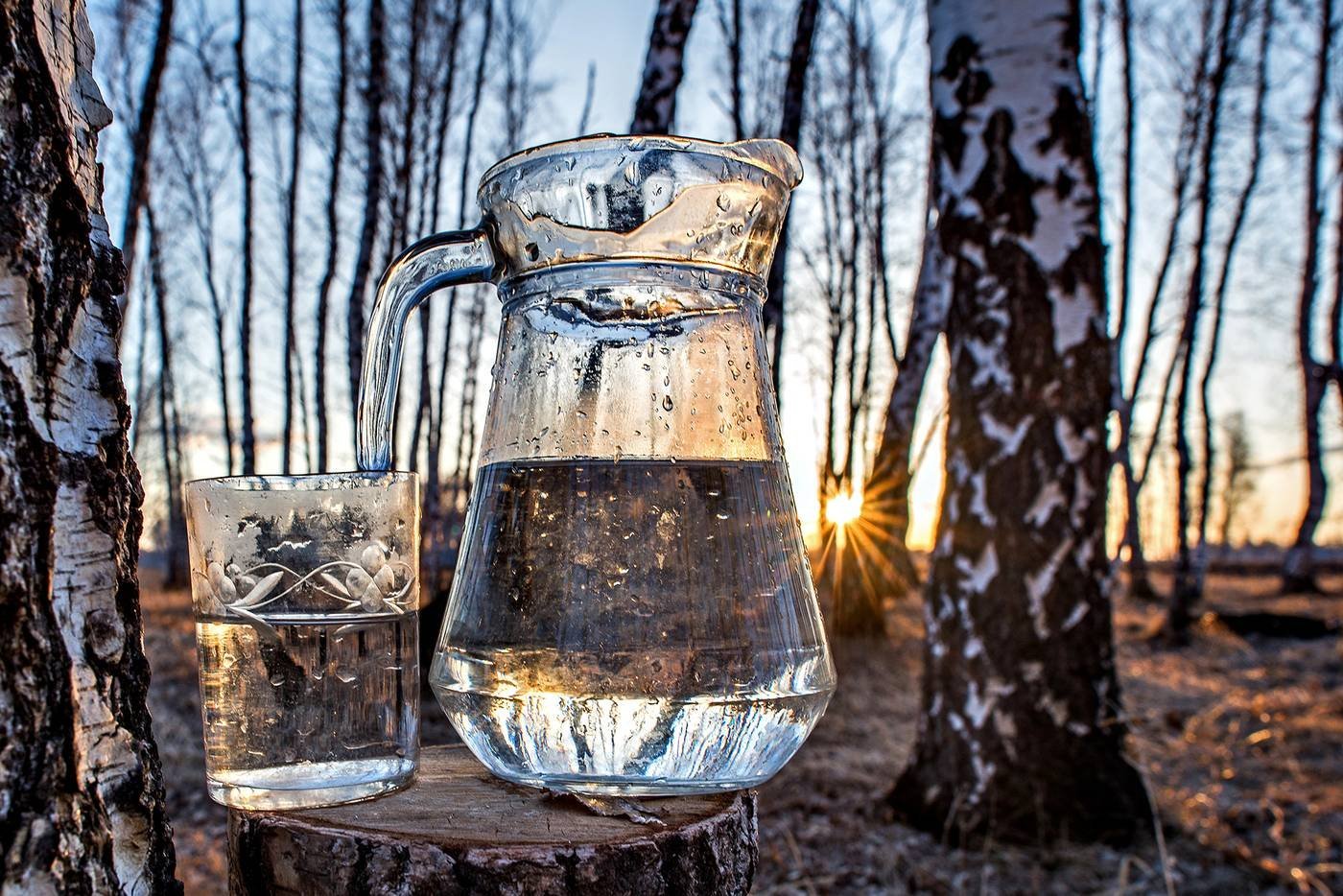 Пей лес. Берёзовый сок. Береза и березовый сок. Бирюзовый сок. Сбор березового сока.