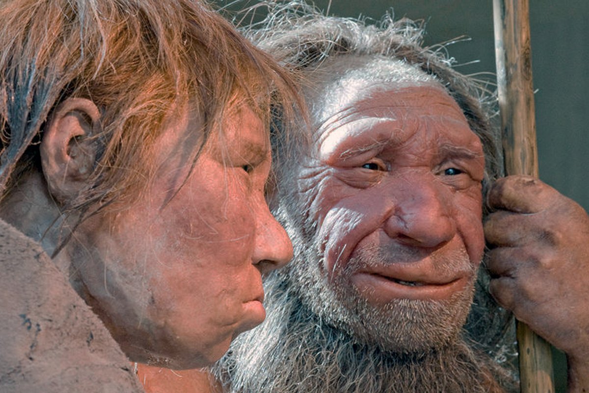 Человек Неандертальский homo Neanderthalensis.