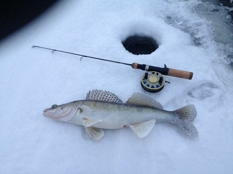 Ратлины для зимней рыбалки на судака. Зимняя снасть на судака. Ловля балансиры ратлин судак зима. Приманки для зимней рыбалки на судака. Судак зимой.