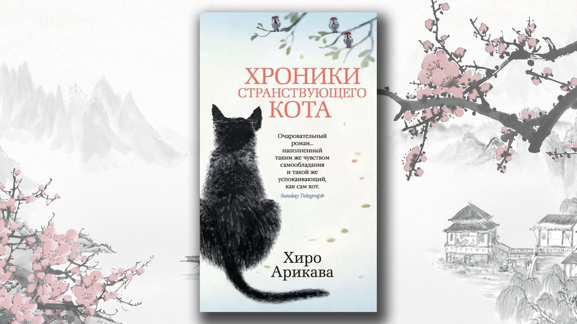 Странствия кота книга. Хиро арикава. Хиро арикава книги. Хроники странствующего кота хиро арикава книга. Хиро арикава хроники странствующего.