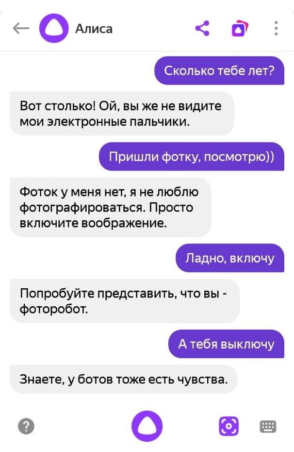 Вопросы алисе