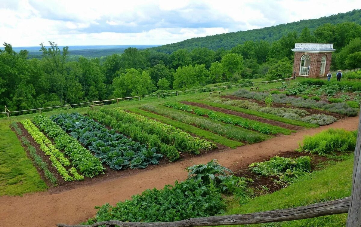 Пермакультура Англия