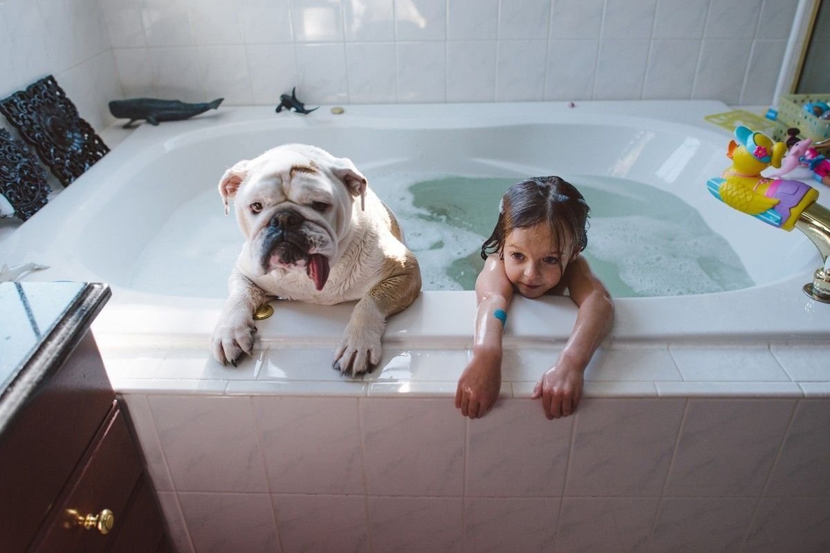 Собака моется в ванной