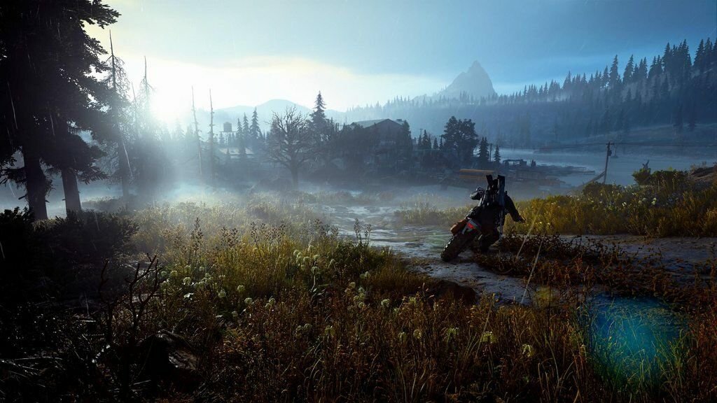 Картинки жизнь после. Days gone. Days gone 4к. Дейзи Гон. Days gone пейзажи.