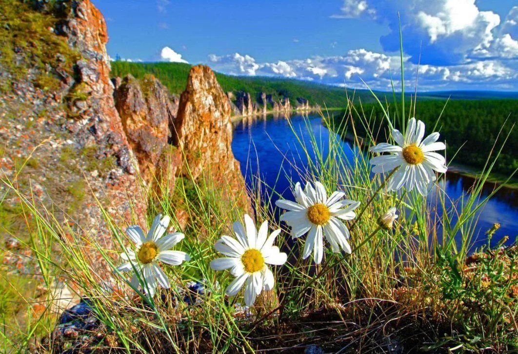 Как правильно фотографировать пейзаж, чтобы получить красивые кадры ...