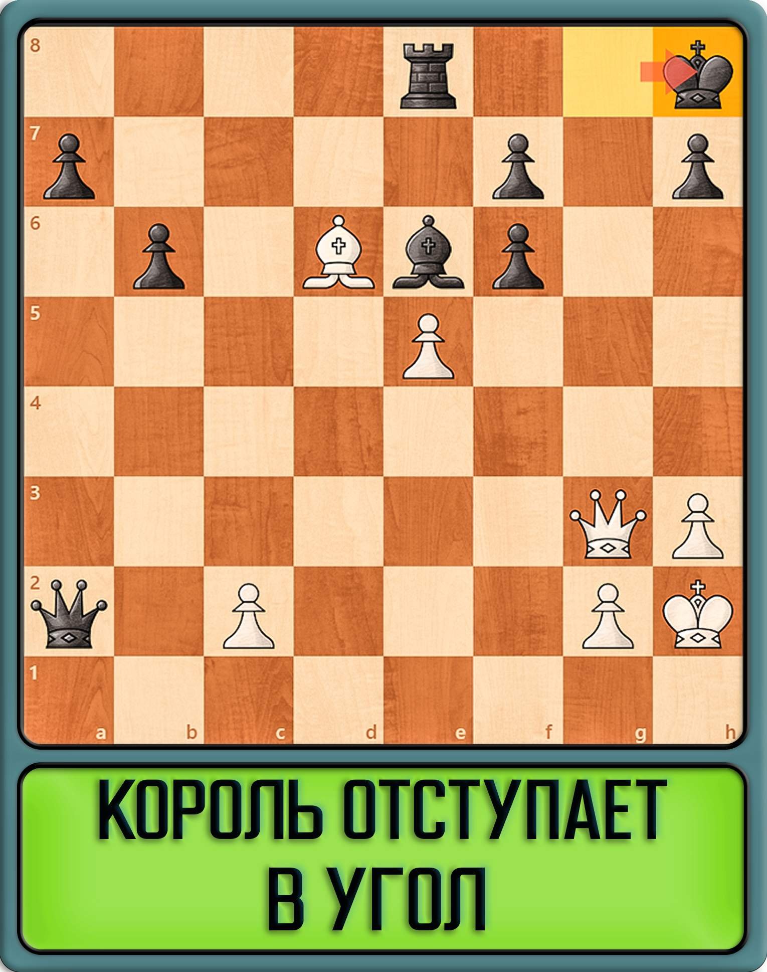 Шах пешкой. Король ходит в шахматах. Шахматы для начинающих детей обучение. Расстановка шахматных фигур и их названия. Шахматы король дошел до конца доски.