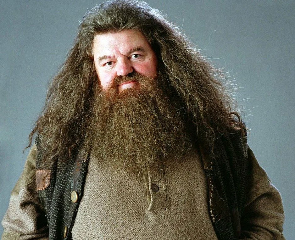 Actor que hace de hagrid en harry potter