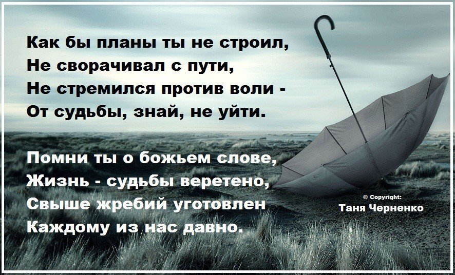 Управляем сами. Цитаты про судьбу. Высказывания о судьбе. Фразы про судьбу. Цитаты о сложной судьбе.