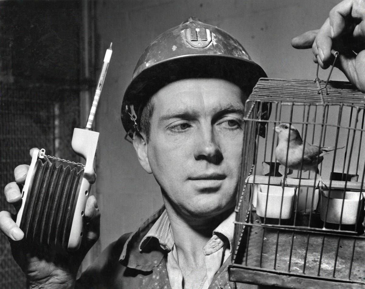 шахтеры донбасса. шахтер проходчик профессия. шахтер в шахте. современный шахтер. шахтеры донбасса.