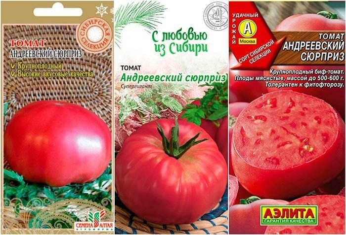 Томаты сюрприз описание сорта. Томаты сюрприз описание сорта. Помидоры андреевский сюрприз описание сорта. Сорт томата андреевский сюрприз. Томат андреевский сюрприз сибирский сад.