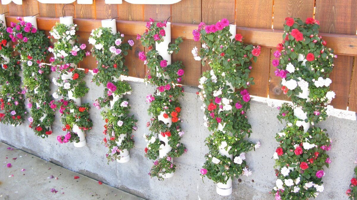 Вертикальная клумба для петунии своими руками из трубы