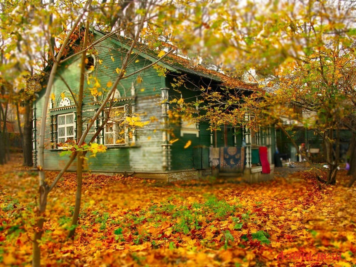 Дача в ноябре. Осенний двор. Осенняя деревня. Деревенский дом осенью. Осенний дом.