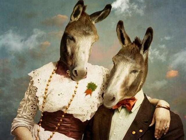 Картинка мужчина женщина и осел