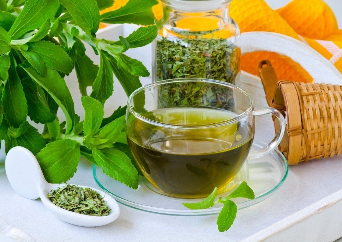 Народные средства при заболеваниях. Улун Тархун. Тархун монастырский. Чай с тархуном. Зеленый чай Тархун.