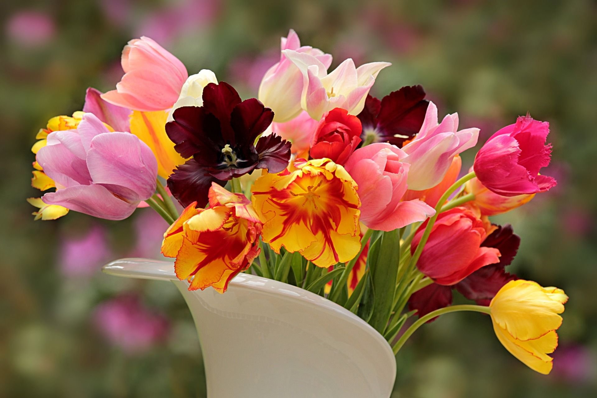 Цветы долго сохраняющиеся. Разноцветные тюльпаны в вазе. Разноцветные тюльпаны фото. Тюльпаны в вазе. Тюльпаны фото на рабочий стол.