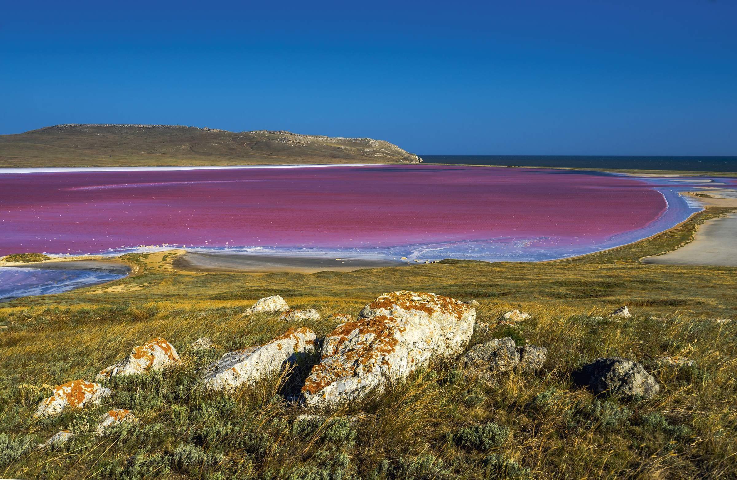 Розовый водоем в крыму. Мыс Опук Кояшское озеро. Кояшское розовое озеро в Крыму. Кояшское озеро Керчь. Розовое Кояшское озеро, мыс Опук.
