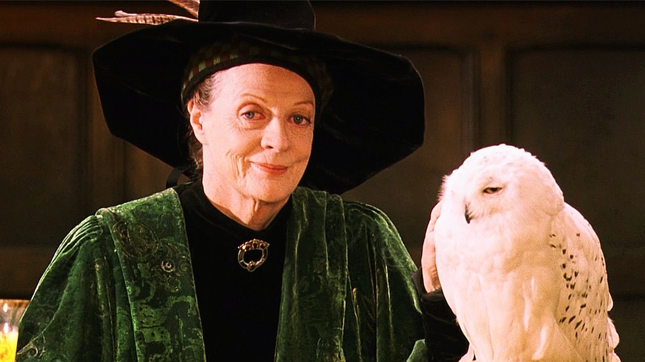 Картинки учителей гарри поттера