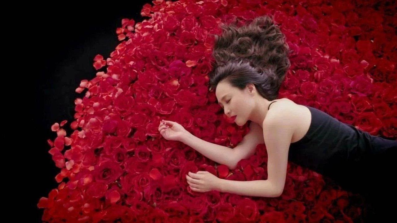 Видео песни расцветать. Изоляция розы и вишни. Что мешает процветать Розе.