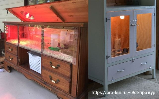 Брудер для цыплят своими руками на 30 цыплят чертеж и размеры схемы фото