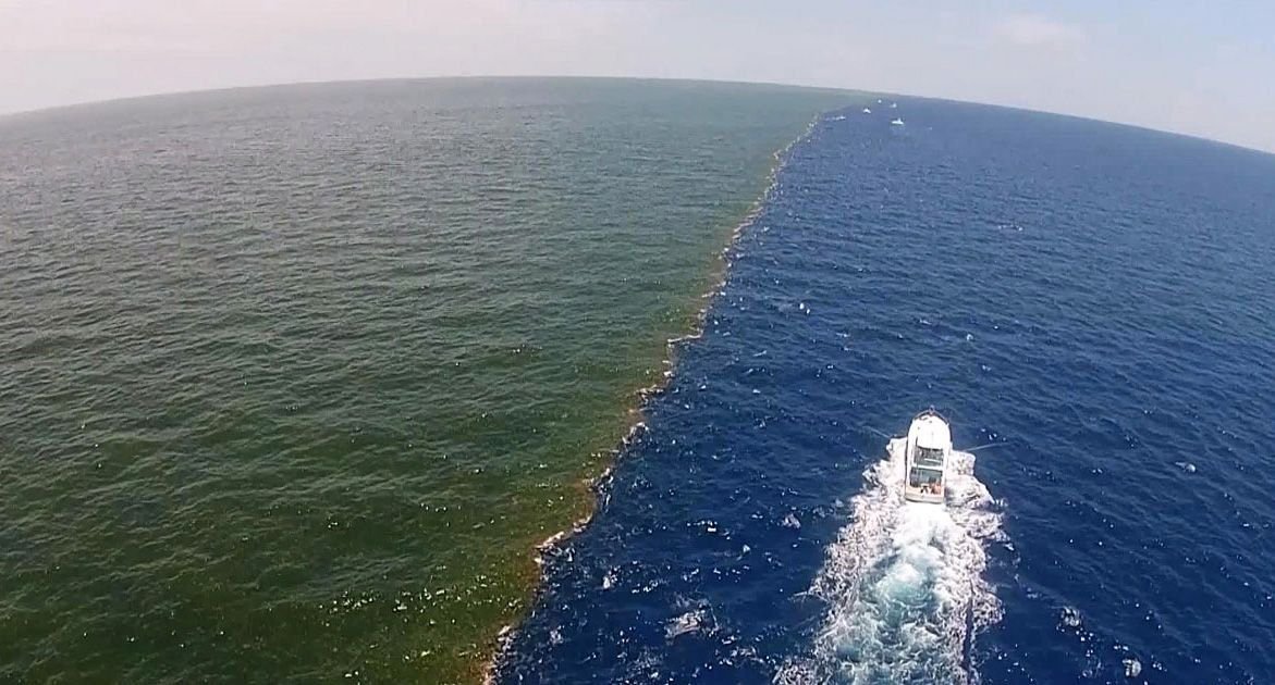 Фото Место, где встречаются два моря - Северное и Балтийское. Не смешиваются из-