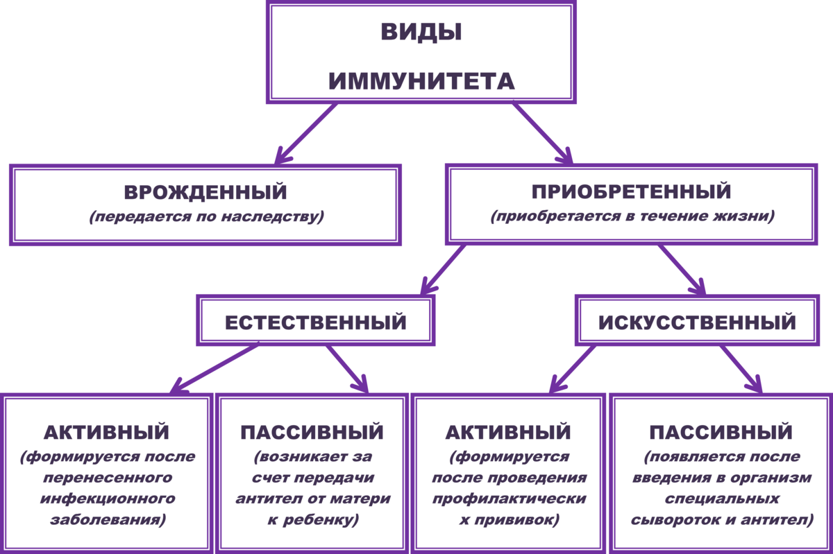 Передается ли зависимости