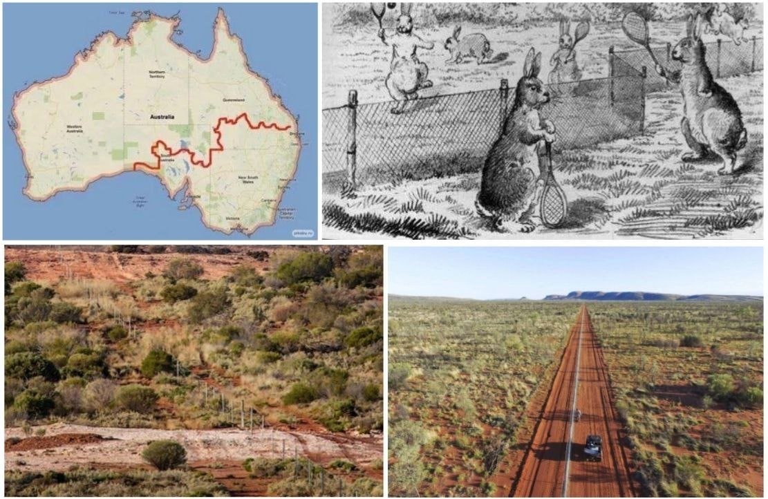 Что находится за забором в австралии. Великий австралийский забор. Великий забор австралии. Что находится за забором в австралии. Тайный забор в австралии.