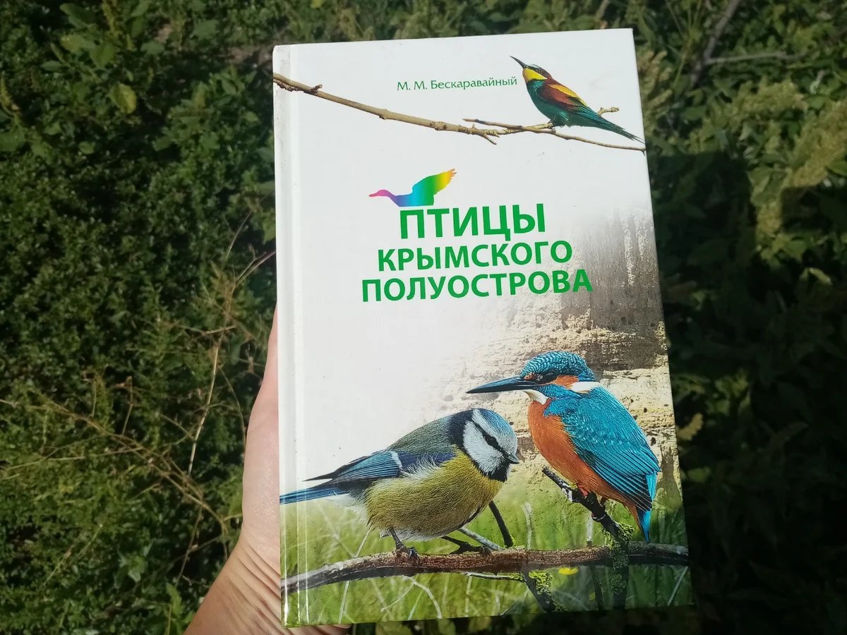 Заметки зооработника дзен
