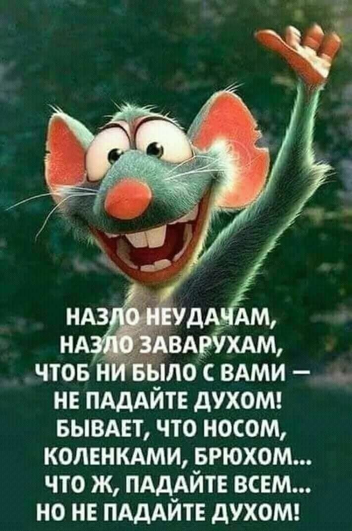Юмор на каждый день