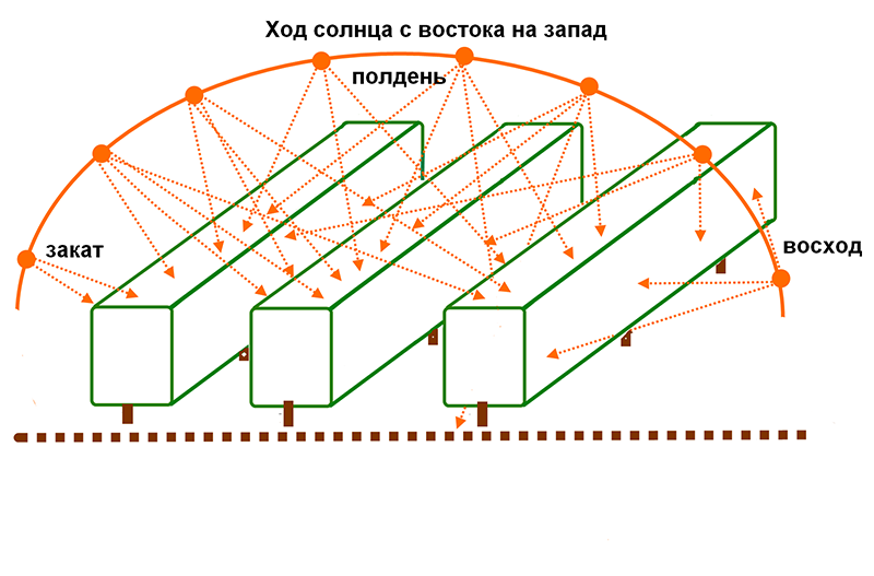 Как расположить на севере. Схема расположения грядки по сторонам света. Размещение теплицы на участке по сторонам света схема. Расположение грядок в теплице по сторонам света. Расположение грядок на дачном участке по сторонам света схема.