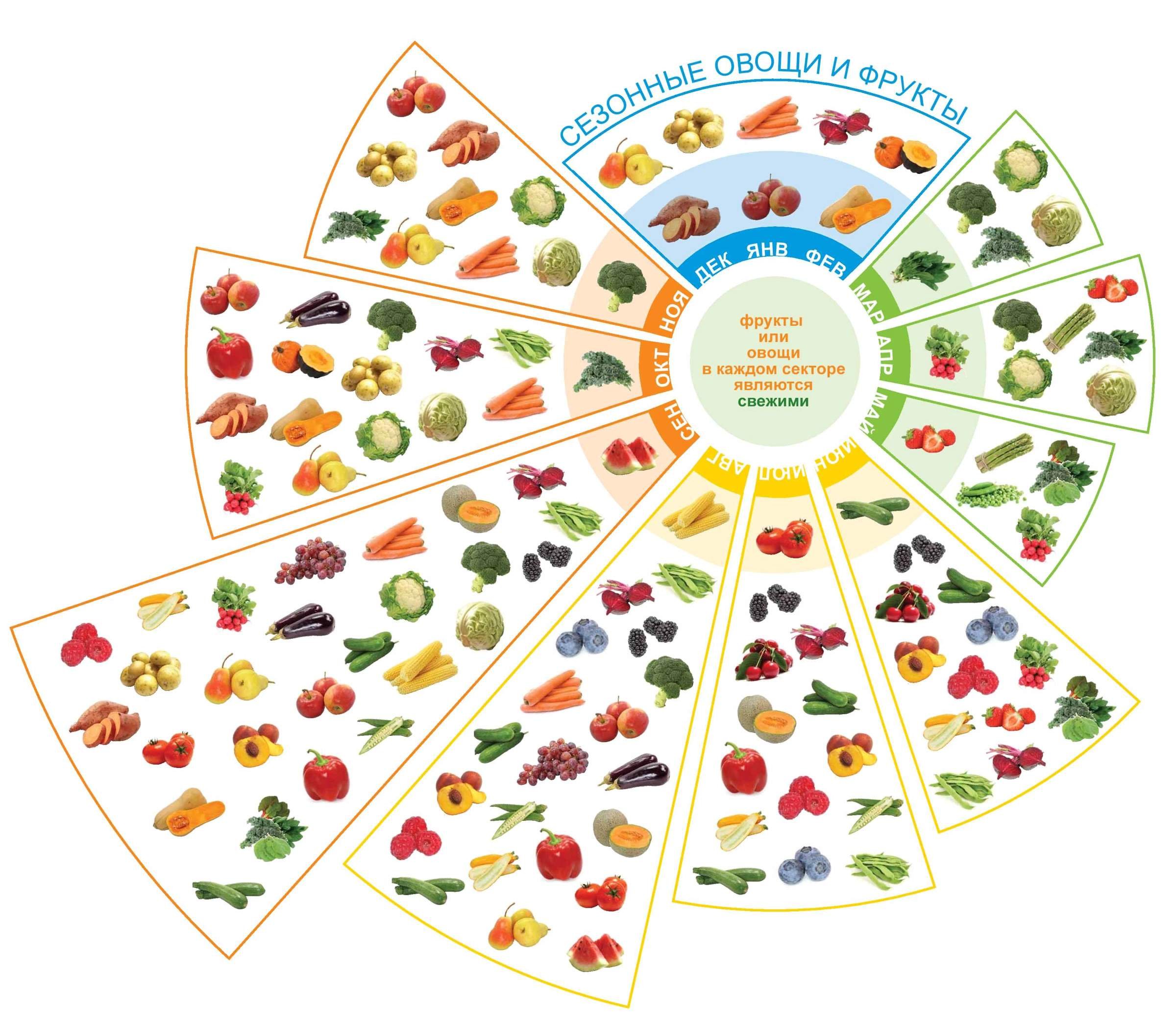 времена года продукты питания. соедини продукты стрелками с разноцветными столами. овощи потерявшие вид. сезонность продуктов. сезонность овощей и фруктов таблица россия.