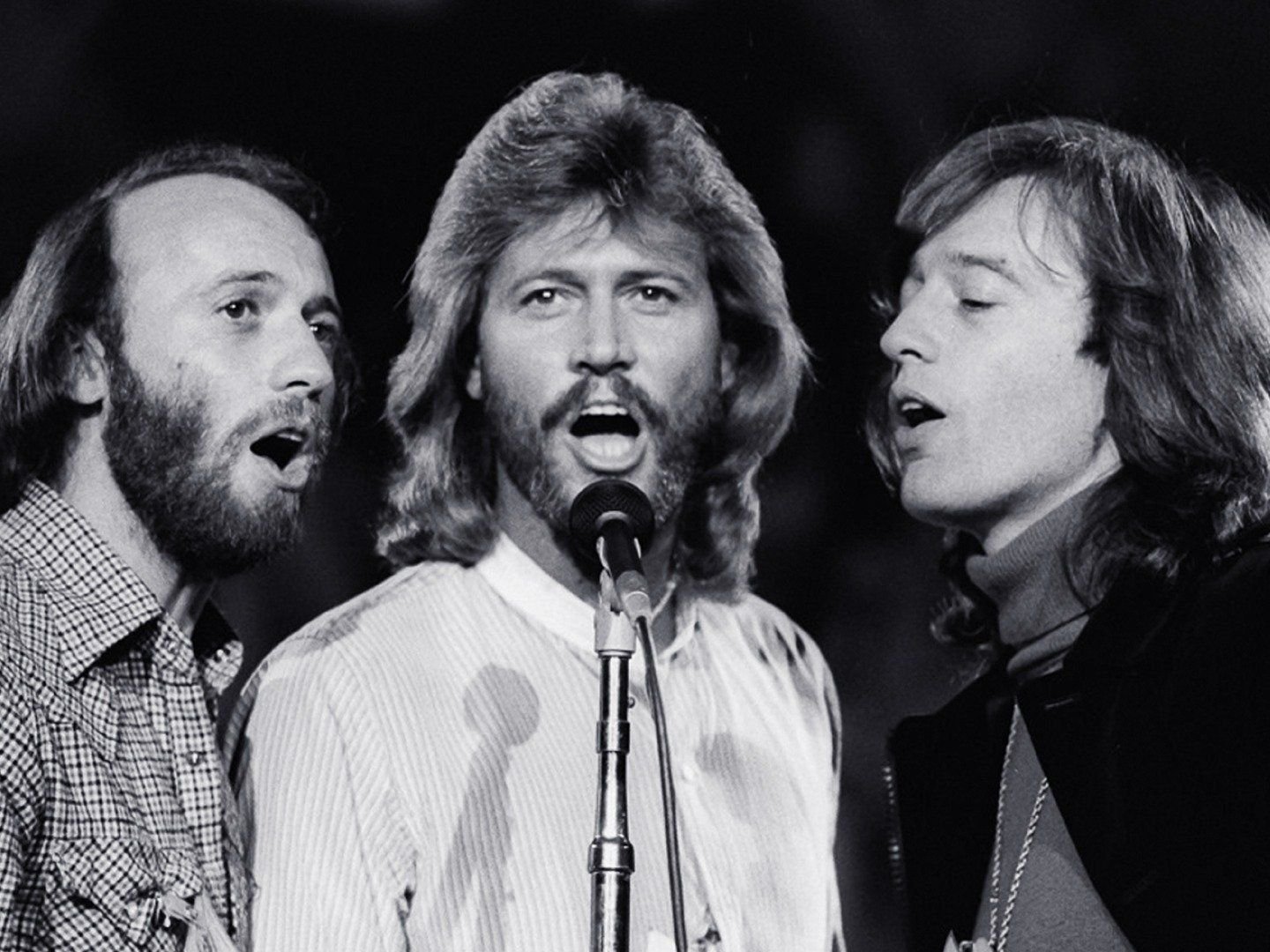 Лучшая песня би джиз. Bee Gees сейчас. Fm 1996 Bee Gees. Концерт группы Bee Gees.