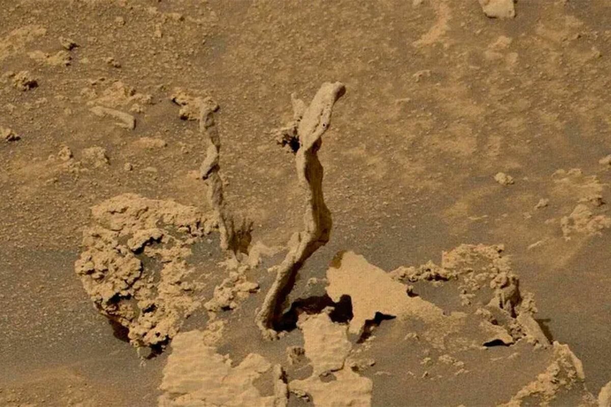 Последние снимки с Марса