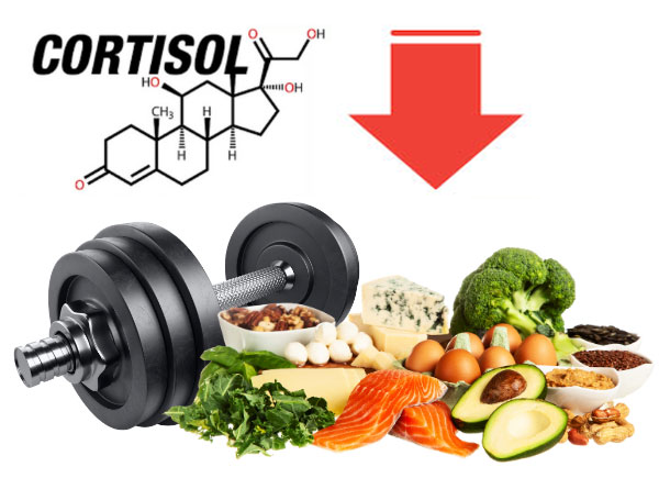 Кортизол после тренировки
