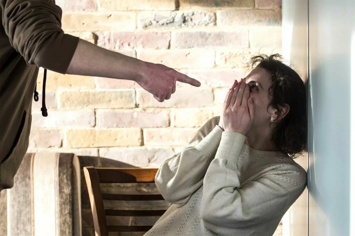 коллекторы 2014