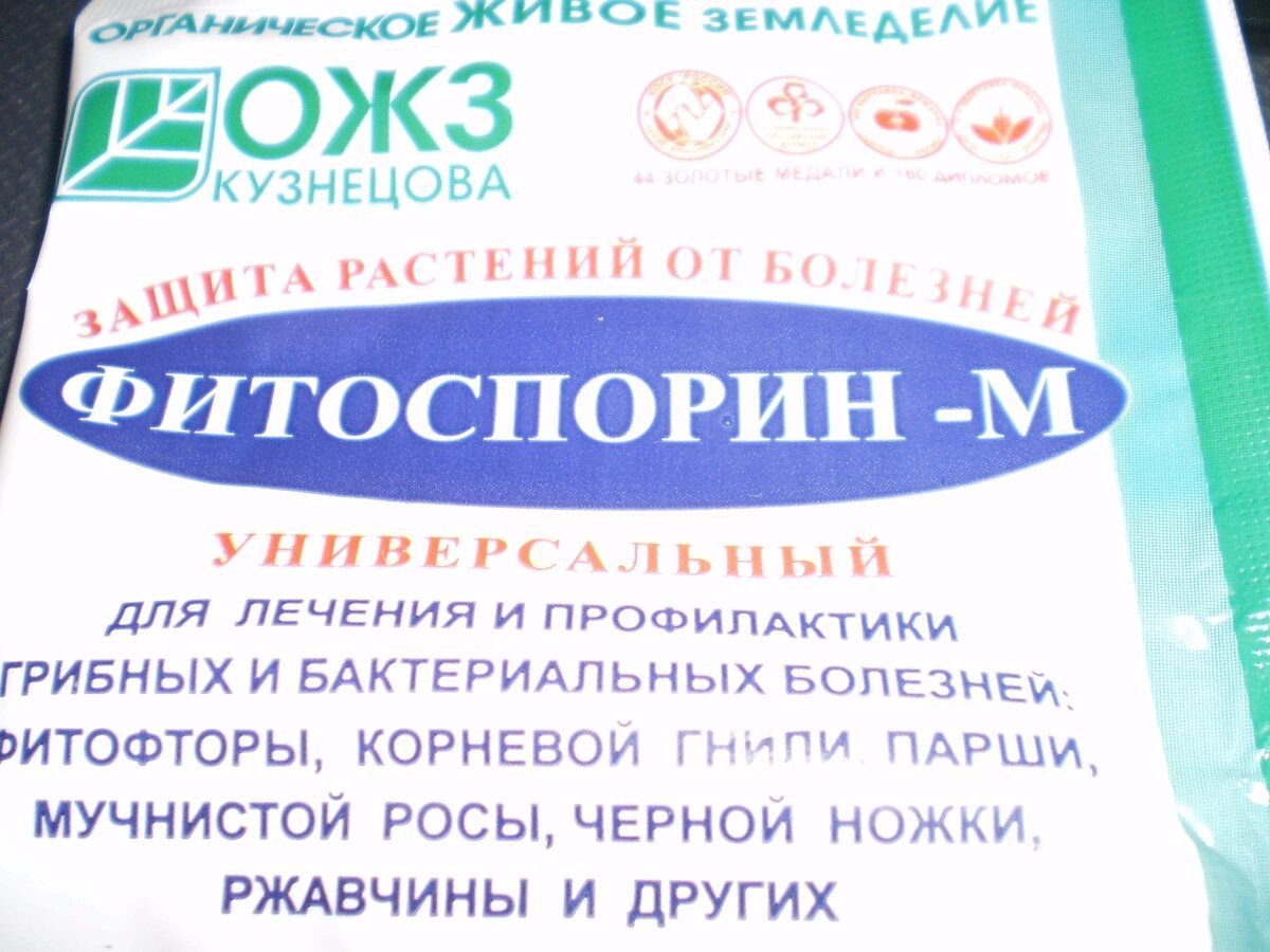 Замачивание семян томатов в фитоспорине. Фитоспорин для семян томатов. Препарат Фитоспорин для томатов. Фитоспорин сухой в грунт. Фитоспорин бывает в твёрдом виде.