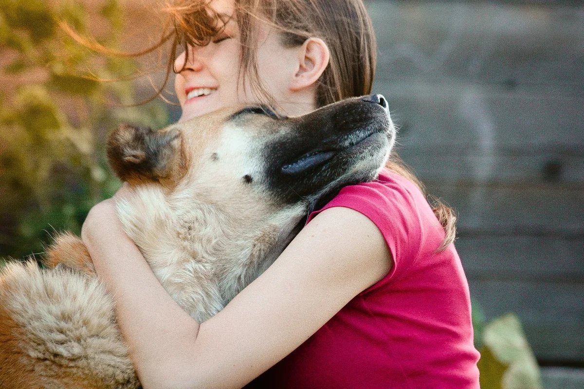 Любимая собака 1 6. Девушка обнимает собаку. Человек обнимает собаку. Собака друг человека. Объятия с собакой.