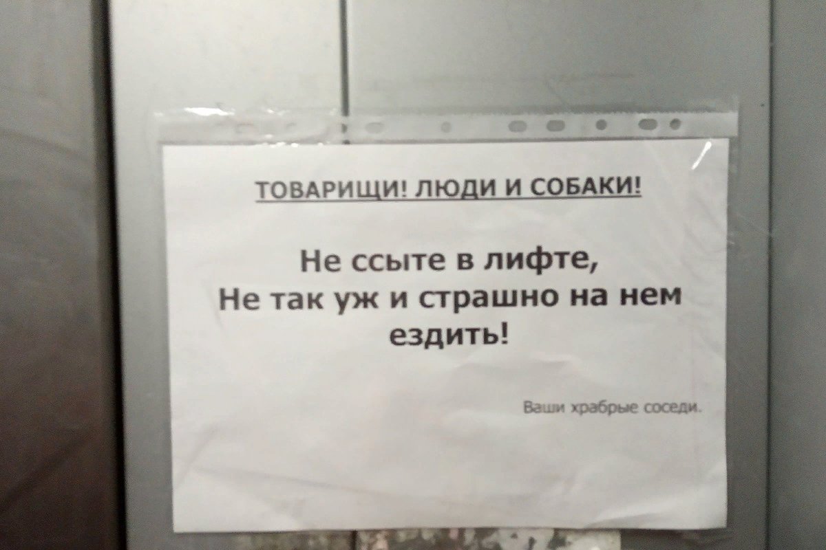 Смешные картинки про подъезд