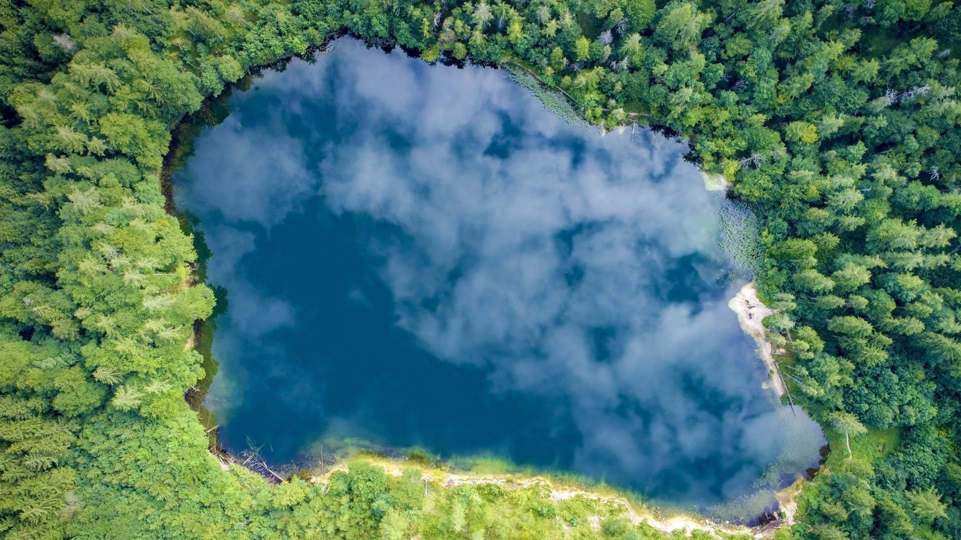 Водоем со стоячей водой. Озеро Виссота. Озеро вид сверху. Озеро с высоты птичьего полета. Водоем вид сверху.