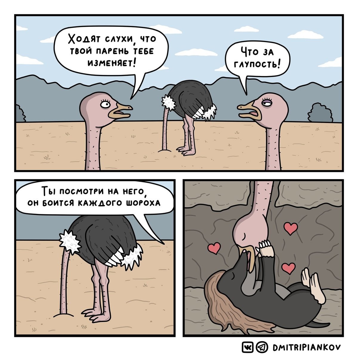 Приколы про страусов