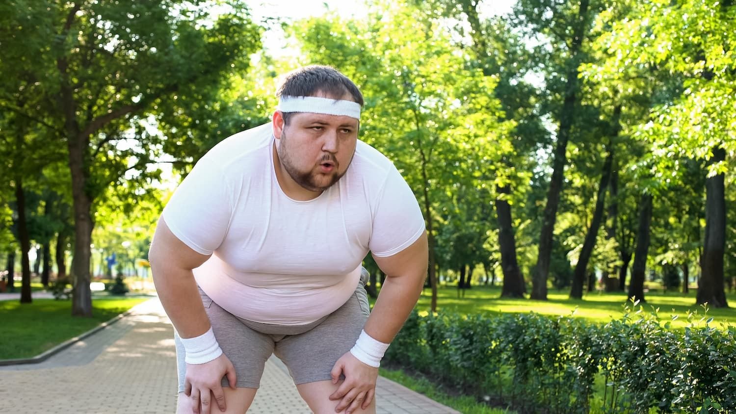 Забег для толстых