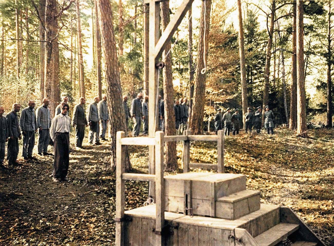 Штутгоф лагерь для военнопленных