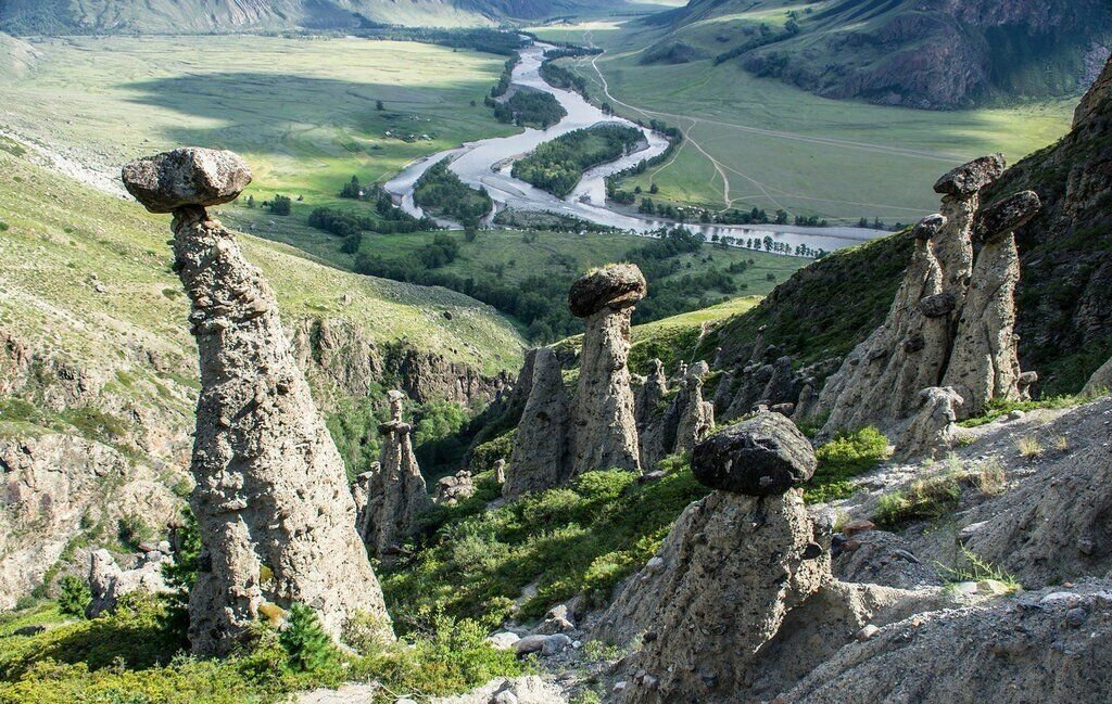 Чудеса алтайского края. Каменные грибы Аккурум Алтай. Каменные грибы Алтай Чулышманская Долина. Урочище Аккурум каменные грибы. Урочище Аккурум Алтай.