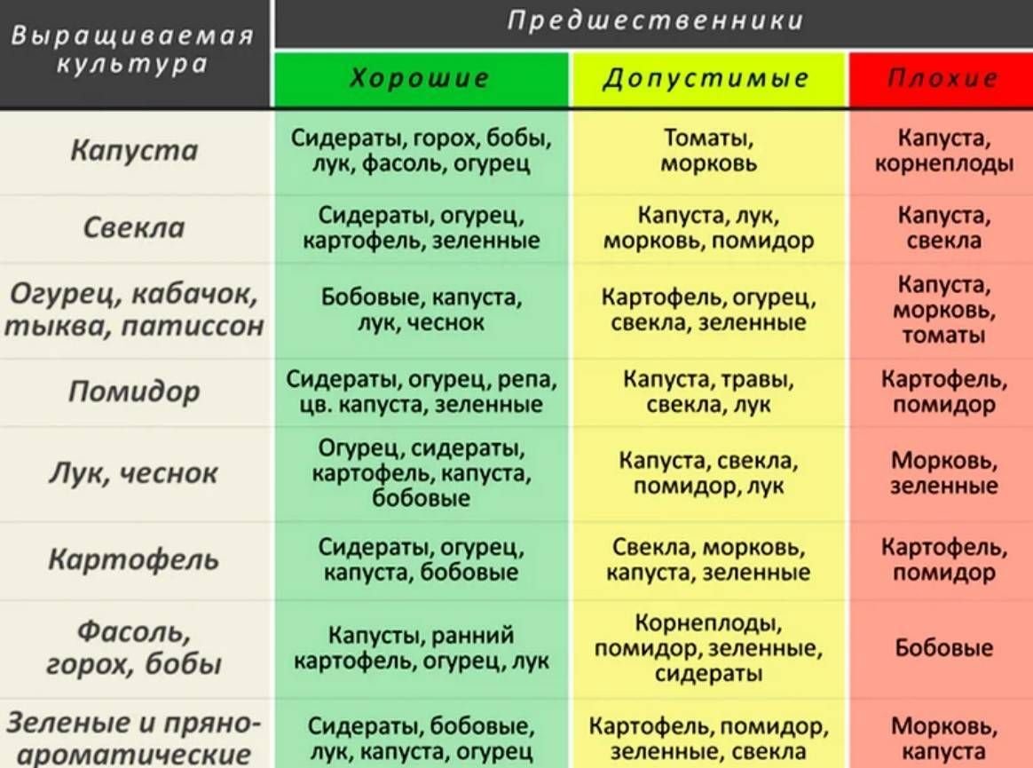 Схема севооборота это перечень всех с х культур которые выращиваются в севообороте