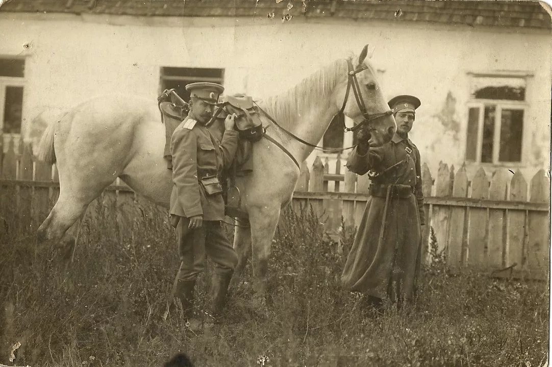 Казаки войска донского фото