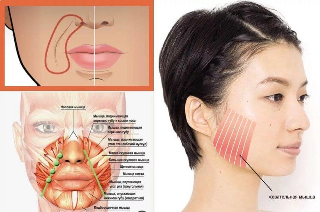 Как расслабить жевательные мышцы лица до и после фото сбоку